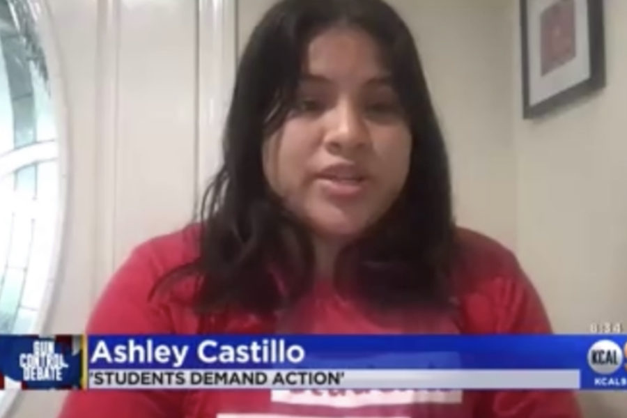 Screenshot of Ashley Castillo speaking on KCAL9