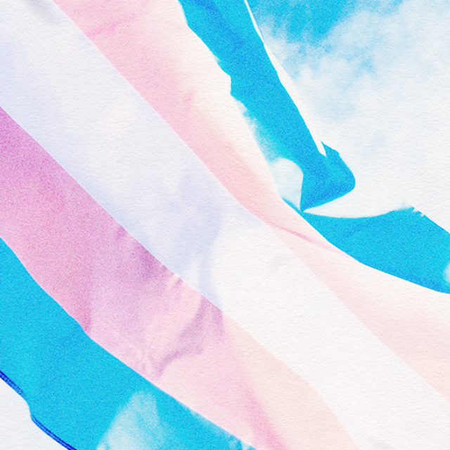 The trans flag wave against a blue-sky background.